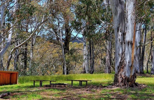 Adaminaby Cabin | Your gateway to an unforgettable holiday experience in the stunning Snowy Mountains!