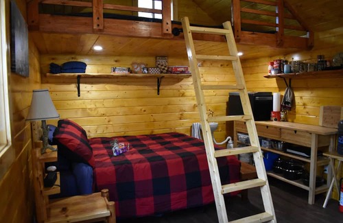 Bellis Cabin | RUGER RIDGE A Tiny Cabin, Off Grid In The Woods