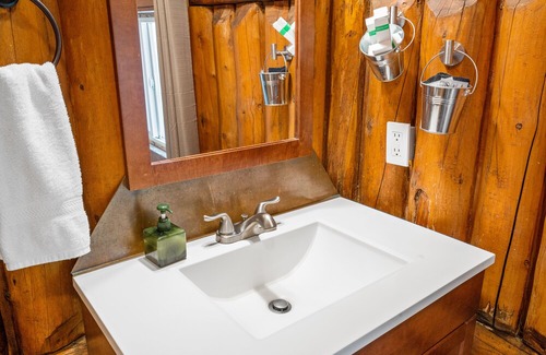 West Yellowstone Cabin | Bucking Moose Bison Cabin (#11)