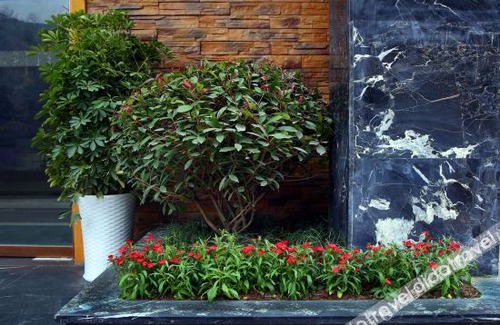 Yongding Bed & Breakfast | Zhangjiajie RuiYuan Hotel - Zhangjiajie West Railway Station - Free Pick up