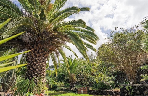 Cueva del Viento Cottage | Teide Eco Harmony