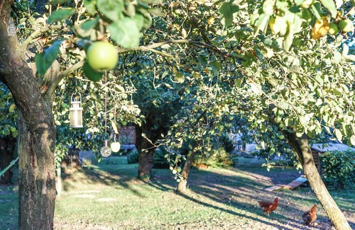 Deuten Apartment | Cozy vacation apartment in the apple orchard