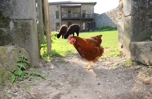 Saint-Julien-Labrousse Cottage | Gite Cabin & Funny Animals