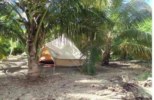 Newcastle RV Rental | Camping Barbados - Group Dome Tents Private Camp