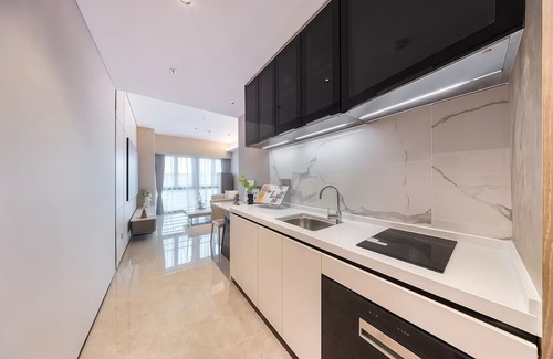 Luohu Apartment | ShenZhen Platinum Collection Service Apt