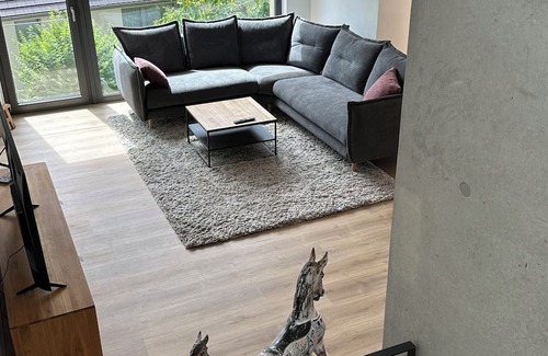 Nagold House | Modern detached house in Nagold - new build