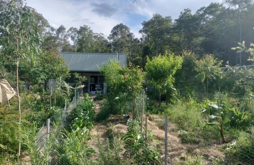 Koreelah Cabin | Offgrid Tiny Home in a Food Forest Garden