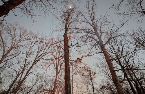 Osceola Apartment | Charming Micro Cabin near Truman Lake in the Ozarks!