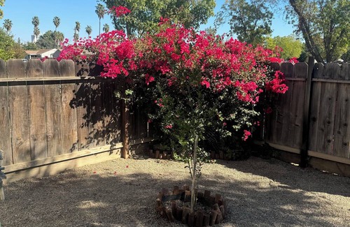 Patterson House | Charming 2-bedroom house with fitness room and AC in delightful Patterson