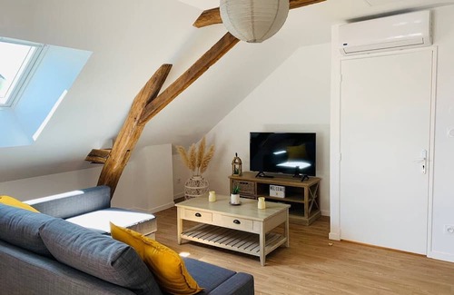 La Fleche Apartment | City center (2): superb air-conditioned apartment