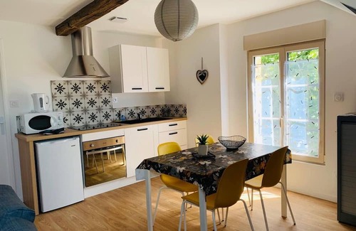 La Fleche Apartment | City center (2): superb air-conditioned apartment