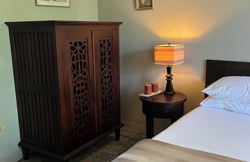 Constant Spring Bed & Breakfast | Charming B&B with AC, treadmill, WiFi in Soothing Stony Hill close to Manor Pk.