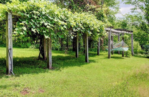 West Kill Cabin | Charming family cabin in the Catskills most secret valley!