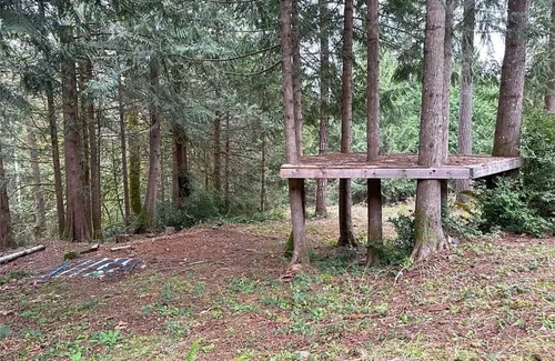 Brinnon House | A perfect escape in the woods on the Hood Canal! Cabin, treehouse, camp sites!