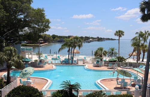 Pinellas Point House | Ideal Family Stay - Adventurous Excursions, Trendy Dining & Beach Escape