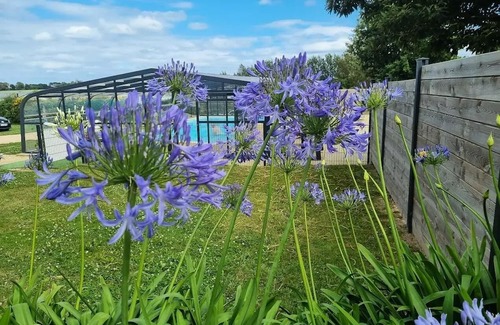 Kerfot House | Camping At the gates of Paimpol * - Mobil Home Comfort Ploumanac'h Saturday - 2 bedrooms 4 people