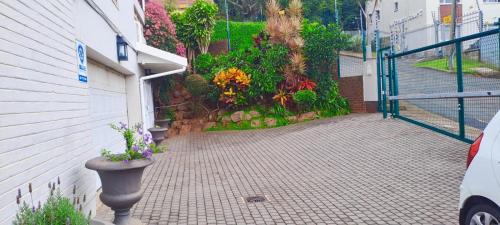 Berea Apartment | Beautiful Habour Views Glenwood