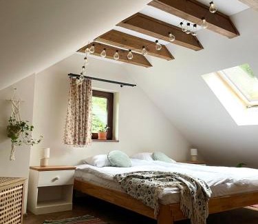 Stara Rzeka House | Stara Rzeka 2