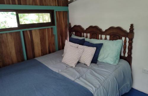 Chachagua Other | Habitación rodeada de las copas de los árboles