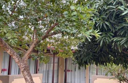 Bushbuckridge Cabin | Soaring Summit Lodge