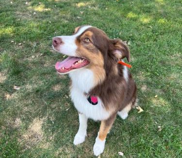 Schaumburg House | test 2233