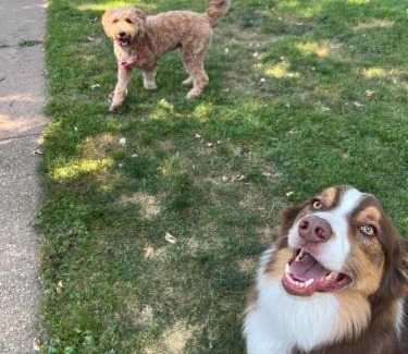 Schaumburg House | test 2233