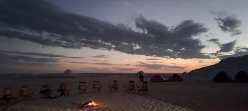 Bawati Other | White Desert Safari Trips in Bahariya Oasis