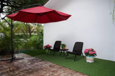 Horse Country Apartment | Centrally Located Miami Guest House Vegan Friendly