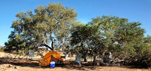 Solitaire Other | Namib Desert Campsite
