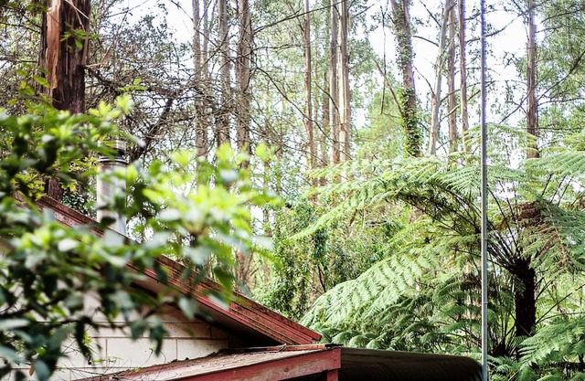 Spa Cottage in 7 acre Rain Forest Paradise