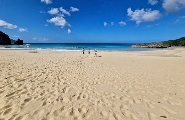 Spectacular clifftop house with hot tub next to sandy beach, stunning sea views