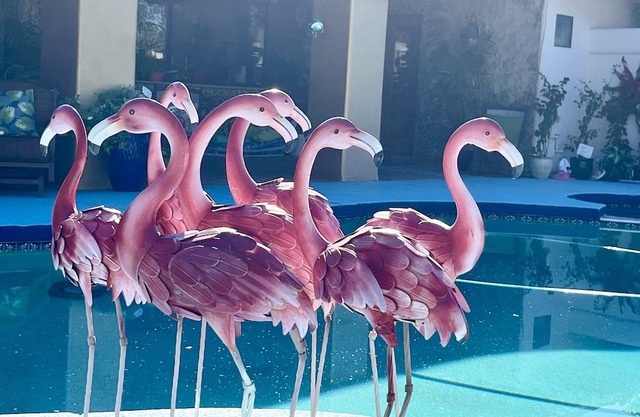 THE MADONNA INN SCOTTSDALE (private room/rooms) LUXURY SUITES TALIESIN WEST!!!