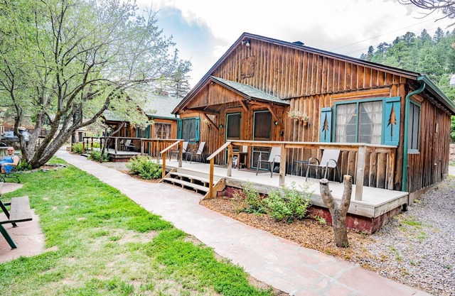Colorado Bear Creek Cabin 4