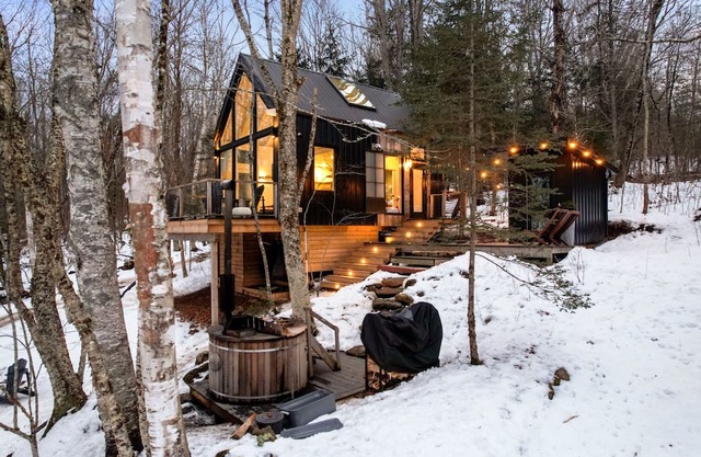 Secluded Lakefront Treetop Cabin with Nordic Spa