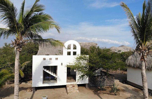 LAS PALMERAS