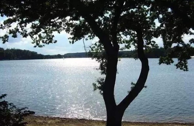 Domaine les Nids du Lac* - POD 2 Rooms 2 People with private Jacuzzi
