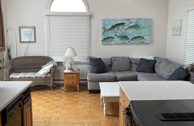 Condo across st from surf dr beach, walking distance to downtown and bike path!