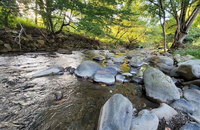 Enjoy Mother Nature and Spring at The Spot!