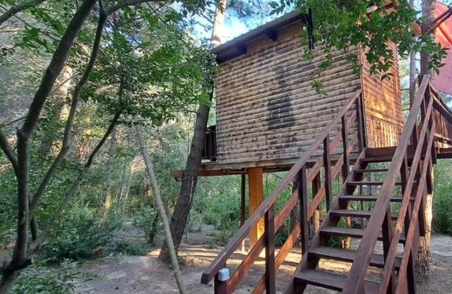 Treehouse in Ljubac