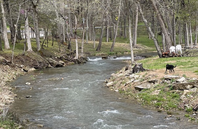 Camping By Mill Creek