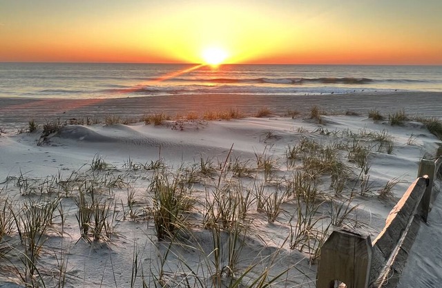 Family / pet friendly summer rental walking distance away from the beach and bay