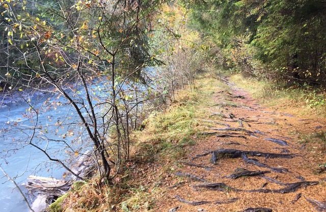 Appartement Le Clos Fleuri 1 Sixt Fer-à-cheval