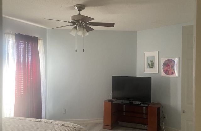 Dynamic cozy and peaceful room