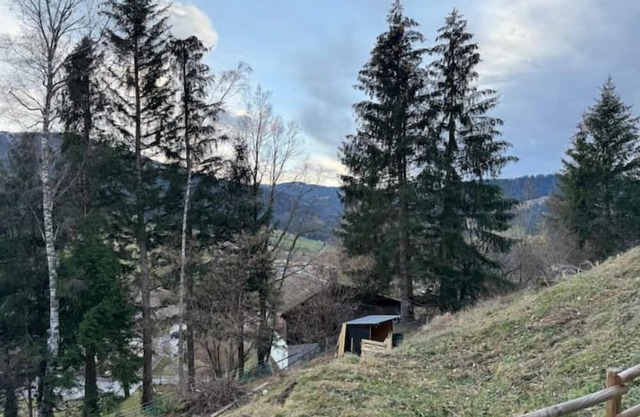 2,5 p Proche Nature