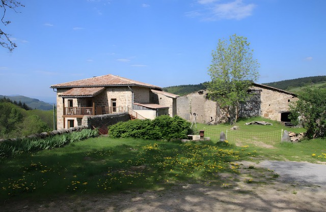 Gite Cabin & Funny Animals