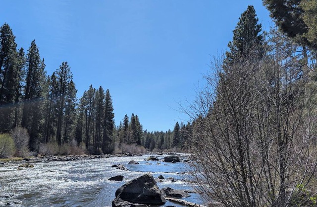 Hotel-Style, King Bed, Ground Floor Condo-328B