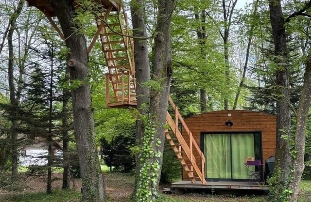 Chalet and terrace perched in the trees