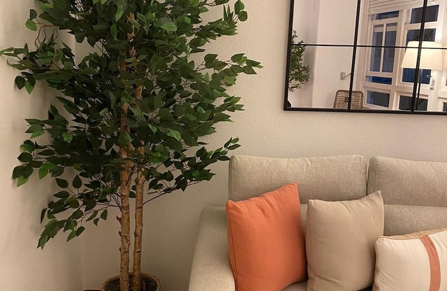 City center, historic center