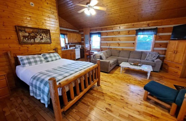 Parkway Lodge with Jacuzzi and Mountain Views! Cabin 11