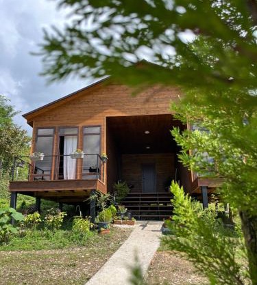 Balda Novel House